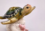 Green Sea Turtle Figurine on Coral Painted Resin (1 turtle approx. 5+ inches) Green Painted Resin Turtle Figure for coastal home décor! Copyright 2025 SeaShellSupply.com.