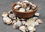 Ridged Venus Clam Seashell Dappled Lioconcha Fastigiata (approx. HALF pound +/-75 shells 0.75+ inches) Streaky Clam Shells for arts & crafts