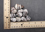 Hebrew Cone Spotted Seashell Mix Conus Ebraeus (10 shells approx. 0.75-1.50+ inches) B GRADE MIX Hebrew Cone shells for crafting & decor!