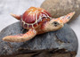 Brown Sea Turtle Figurine Painted Resin (1 turtle approx. 4 inches long) Brown Painted Resin Sea Turtle Figure for coastal home décor!