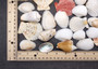 Netted Mixed Shell Assortment. Set of multiple different colored and sized shells in a cute little bag. Copyright 2025 SeaShellSupply.com.