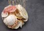 Mixed Small Seashell Assortment In Net Bag (approx. 15-20+ shells 0.5-1.5+ inches) Net Bag Of Assorted Shells for gifting & decoration!