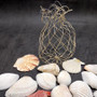 Mixed Small Seashell Assortment In Net Bag (approx. 15-20+ shells 0.5-1.5+ inches) Net Bag Of Assorted Shells for gifting & decoration!