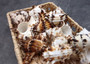 Endive Murex Seashells White Brown Murex Endivia (2 shells approx. 2+ inches) Striped Murex Shells for coastal crafting décor & collections!