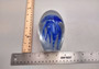 Jellyfish Glass Egg Deep Blue Paperweight Glow In The Dark (1 figurine approx. 4.5 inches tall) Glass Sea Jellies statuettes make great gifts!
