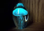 Jellyfish Glass Egg Light Blue Paperweight Glow In The Dark (1 figurine approx. 4.5 inches tall) Large Glass Sea Jellies make great gifts!
