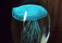 Jellyfish Glass Egg Teal Pink Paperweight Glow In The Dark (One orb approx. 3.5 inches tall) Glass Jellyfish statuette a unique ocean gift!