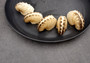 Brown Paper Nautilus Seashell Rare Argonauta Hians (1 shell approx. 2.25+ inches) Swell shells for coastal crafting decor & collections!
