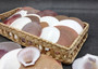 Sun and Moon Scallop Seashells Brown Purple White Mix Amusium Pleuronectes (Approx. HALF pound +/-30 shells) Scallop mix for arts & crafts!
