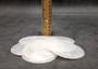 Capiz Shells Round Cut White Pearlescent Placuna Placenta (10 shells approx. 3 inch round) Windowpane Oysters for crafts decor & jewelry!