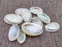 Pearlized Abalone Seashell (10 shells approx. 1-1.5 inches). multiple sand colored shells in pile. Copyright 2025 SeaShellSupply.com.