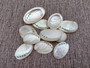Pearlized Abalone Seashell (10 shells approx. 1-1.5 inches). multiple sand colored shells in pile. Copyright 2022 SeaShellSupply.com.