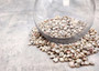 Pearlized Umbonium Seashells (appx. 220-230 pcs.) Button Top Shells. Multiple earthly colored spiral shells in a pile. Copyright 2025 SeaShellSupply.com.