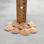 Perspective Sundial Seashells Architectonica Perspectiva (10 shells approx. 0.5+ inches) Sundial Shells for ocean art crafts & jewelry!