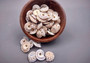 Perspective Sundial Seashells/Small (20 pcs) - (.5-1 Inch) - Architectonica Perspectiva. Multiple tight spiral shells in pile. Copyright 2024 SeaShellSupply.com.