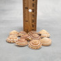 Perspective Sundial Seashells Architectonica Perspectiva (10 shells approx. 0.5+ inches) Sundial Shells for ocean art crafts & jewelry!