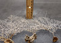White Sea Fan Corals Gorgonia Ventalina (set of 5 fans approx. 4-6+ inches) White Coral Sea Fans for art projects crafts & collecting! Copyright 2025 SeaShellSupply.com.