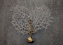 White Sea Fan Corals Gorgonia Ventalina (set of 5 fans approx. 4-6+ inches) White Coral Sea Fans for art projects crafts & collecting! Copyright 2025 SeaShellSupply.com.