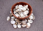 Natural Baby Abalone Seashells Rough Haliotis Rufescens (approx. HALF pound 50+ shells 1+ inches) Rough Abalone shells for arts & crafts!