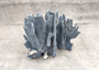 Blue Ridge Coral Cluster Heliopora Coerulea (1 coral 9L x 6D x 7H inches) Great Blue coral cluster for coastal home decor or display!