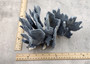 Blue Ridge Coral Cluster Heliopora Coerulea (1 coral 9L x 6D x 7H inches) Great Blue coral cluster for coastal home decor or display!