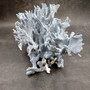 Blue Ridge Coral Cluster Heliopora coerulea (1 coral approx. 7H x 8D x 10L inches) Blue Coral Cluster for coastal home decor & display! Copyright 2026 SeaShellSupply.com.