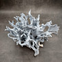 Blue Ridge Coral Cluster Heliopora coerulea (1 coral approx. 7H x 8D x 10L inches) Blue Coral Cluster for coastal home decor & display!