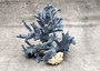 Blue Ridge Coral Cluster Heliopora Coerulea (1 coral 8L x 6.5D x 8H inches) Great Blue coral cluster mounted on base for decor or display! Copyright 2025 SeaShellSupply.com. Blue Ridge Coral Cluster Heliopora Coerulea (1 coral 8L x 6.5D x 8H inches) Great Blue coral cluster mounted on base for decor or display! Copyright 2025 SeaShellSupply.com.