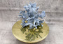 Blue Ridge Coral Cluster Heliopora Coerulea (1 coral 8L x 6.5D x 8H inches) Great Blue coral cluster mounted on base for decor or display! Copyright 2025 SeaShellSupply.com. Blue Ridge Coral Cluster Heliopora Coerulea (1 coral 8L x 6.5D x 8H inches) Great Blue coral cluster mounted on base for decor or display! Copyright 2025 SeaShellSupply.com.