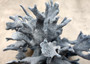 Blue Ridge Coral Cluster Heliopora Coerulea (1 coral 8L x 6.5D x 8H inches) Great Blue coral cluster mounted on base for decor or display! Copyright 2025 SeaShellSupply.com. Blue Ridge Coral Cluster Heliopora Coerulea (1 coral 8L x 6.5D x 8H inches) Great Blue coral cluster mounted on base for decor or display! Copyright 2025 SeaShellSupply.com.