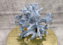 Blue Ridge Coral Cluster Heliopora Coerulea (1 coral 8L x 6.5D x 8H inches) Great Blue coral cluster mounted on base for decor or display! Copyright 2025 SeaShellSupply.com. Blue Ridge Coral Cluster Heliopora Coerulea (1 coral 8L x 6.5D x 8H inches) Great Blue coral cluster mounted on base for decor or display! Copyright 2025 SeaShellSupply.com.