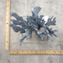 Blue Ridge Coral Cluster Heliopora Coerulea (1 coral 8L x 6.5D x 8H inches) Great Blue coral cluster mounted on base for decor or display! Copyright 2025 SeaShellSupply.com. Blue Ridge Coral Cluster Heliopora Coerulea (1 coral 8L x 6.5D x 8H inches) Great Blue coral cluster mounted on base for decor or display! Copyright 2025 SeaShellSupply.com.