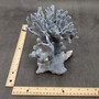 Blue Ridge Coral Cluster Heliopora Coerulea (1 coral 8L x 6.5D x 8H inches) Great Blue coral cluster mounted on base for decor or display! Copyright 2026 SeaShellSupply.com.