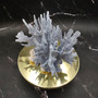 Blue Ridge Coral Cluster Heliopora Coerulea (1 coral 8.75L x 5.5D x 7.5H inches) Large Intricate Blue Coral Cluster for decor or display! 02 Copyright 2026 SeaShellSupply.com.
