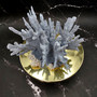 Blue Ridge Coral Cluster Heliopora Coerulea (1 coral 8.75L x 5.5D x 7.5H inches) Large Intricate Blue Coral Cluster for decor or display! 02 Copyright 2026 SeaShellSupply.com.