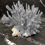 Blue Ridge Coral Cluster Heliopora Coerulea (1 coral 8.75L x 5.5D x 7.5H inches) Large Intricate Blue Coral Cluster for decor or display! 02 Copyright 2026 SeaShellSupply.com.