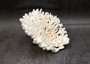 White Table Coral Cluster Large Centerpiece (1 coral 6L x 5.5H x 7.5D inches) Large White Table Coral for coastal home display & decor!