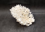 White Table Coral Cluster Large Centerpiece (1 coral 6L x 5.5H x 7.5D inches) Large White Table Coral for coastal home display & decor!