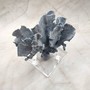 Blue Ridge Coral Cluster Heliopora Coerulea (1 coral 9L x 5D x 8.5H inches) Great Blue coral cluster for coastal home decor or display! Copyright 2025 SeaShellSupply.com. Blue Ridge Coral Cluster Heliopora Coerulea (1 coral 9L x 5D x 8.5H inches) Great Blue coral cluster for coastal home decor or display! Copyright 2025 SeaShellSupply.com.