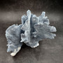 Blue Ridge Coral Cluster Heliopora Coerulea (1 coral 9L x 6.5D x 8H inches) Great Blue Coral Cluster for coastal home decor or display! Copyright 2026 SeaShellSupply.com.