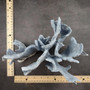 Blue Ridge Coral Cluster Heliopora Coerulea (1 coral 9L x 6.5D x 8H inches) Great Blue Coral Cluster for coastal home decor or display! Copyright 2026 SeaShellSupply.com.