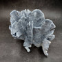 Blue Ridge Coral Cluster Heliopora Coerulea (1 coral 9L x 6.5D x 8H inches) Great Blue Coral Cluster for coastal home decor or display! Copyright 2026 SeaShellSupply.com.