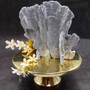 Blue Ridge Coral Cluster Heliopora Coerulea (1 coral 9L x 6.5D x 8H inches) Great Blue Coral Cluster for coastal home decor or display! Copyright 2026 SeaShellSupply.com.