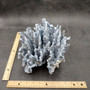 Blue Ridge Coral Cluster Heliopora Coerulea (1 coral 7.5L x 5.5D x 8H inches) Great Blue coral cluster mounted on base for decor or display! Copyright 2026 SeaShellSupply.com
