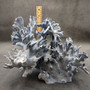 Large Blue Ridge Coral Cluster Heliopora Coerulea Great Blue coral cluster mounted on base for decor or display! Copyright 2026 SeaShellSupply.com