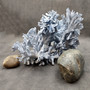 Large Blue Ridge Coral Cluster Heliopora Coerulea Great Blue coral cluster mounted on base for decor or display! Copyright 2026 SeaShellSupply.com