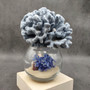 Medium Blue Ridge Coral Cluster (1 coral approx. 5L x 5D x 4H inches) Blue Heliopora Coerulea Coral for decor or centerpiece display!