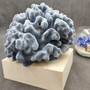 Medium Blue Ridge Coral Cluster (1 coral approx. 5L x 5D x 4H inches) Blue Heliopora Coerulea Coral for decor or centerpiece display!