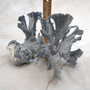 Blue Ridge Coral Cluster Heliopora Coerulea (1 coral 9.5L x 8D x 5.5H inches) Great Blue coral cluster for coastal home decor or display! Copyright 2025 SeaShellSupply.com