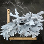 Large Blue Ridge Coral Cluster Reef Sculpture (1 coral 14L x 7D x 12H inches) Blue Heliopora Coerulea Coral Creation for decor or display! Copyright 2026 SeaShellSupply.com.